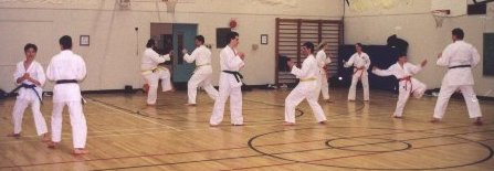 A picture of adults doing Karate